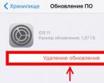 Fehler „iOS-Update kann nicht überprüft werden“ und seine Lösung