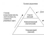 Die Struktur und Zusammensetzung des Informationssystems